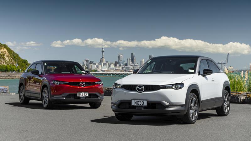 New Zealand Company Vehicle June 2021